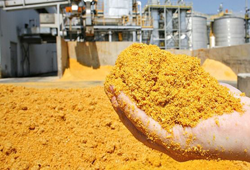 Distillers Wet Grain Soluble (DWGS)